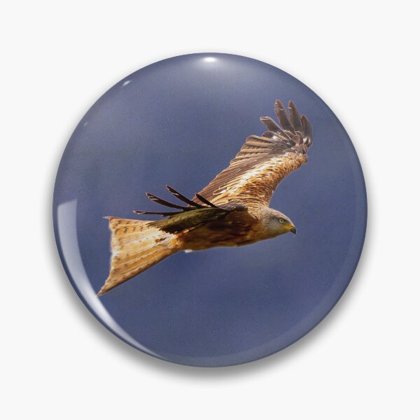 Item preview, Red Kite in flight designed and sold by inspireyoureyes.