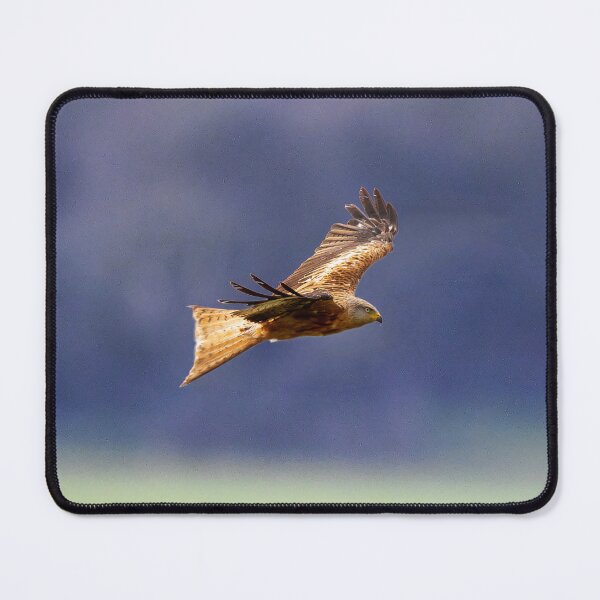 Item preview, Red Kite in flight designed and sold by inspireyoureyes.
