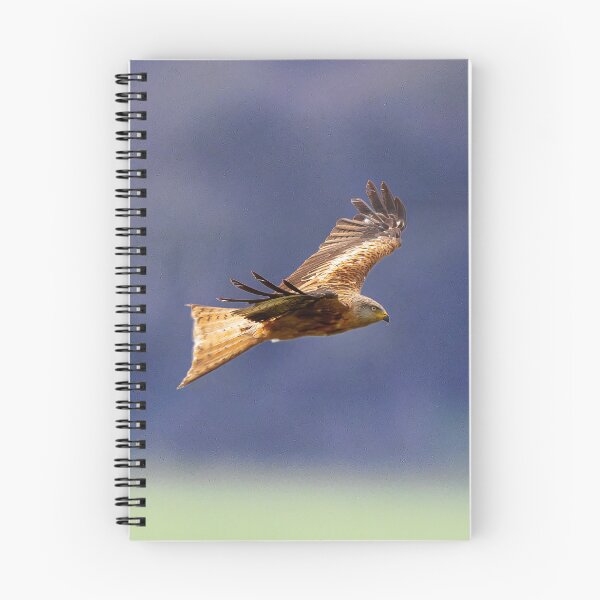 Item preview, Red Kite in flight designed and sold by inspireyoureyes.
