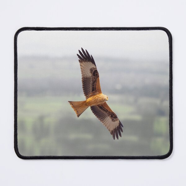 Item preview, Red kite in flight designed and sold by inspireyoureyes.