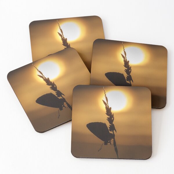 Item preview, Common Blue Butterfly at Sunset designed and sold by Alec Stewart.