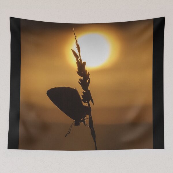 Item preview, Common Blue Butterfly at Sunset designed and sold by Alec Stewart.