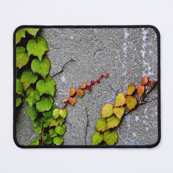 Item preview, Green Autumn Red Yellow Orange Fall Leaves designed and sold by Hena Tayeb.