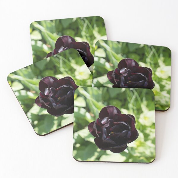 Item preview, Queen of the Night Black Tulip designed and sold by Georgia Mizuleva.