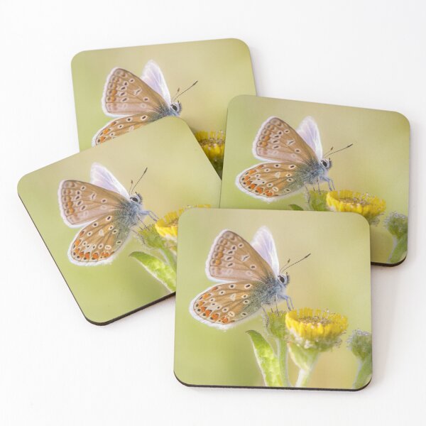 Item preview, Common Blue on Fleabane designed and sold by Alec Stewart.