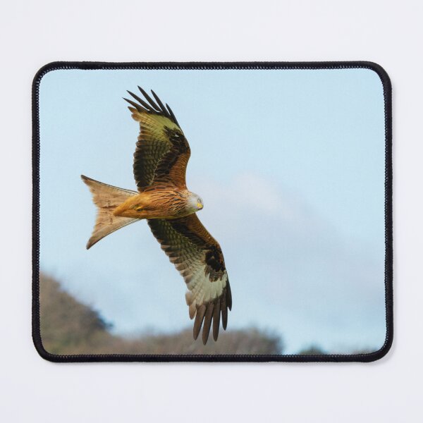 Item preview, Red Kite in flight designed and sold by inspireyoureyes.