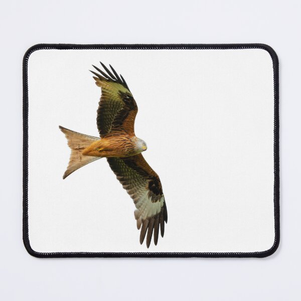 Item preview, Red Kite in flight designed and sold by inspireyoureyes.