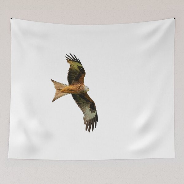 Item preview, Red Kite in flight designed and sold by inspireyoureyes.