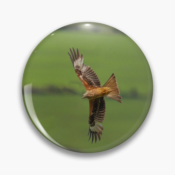 Item preview, Milano real en vuelo designed and sold by inspireyoureyes.