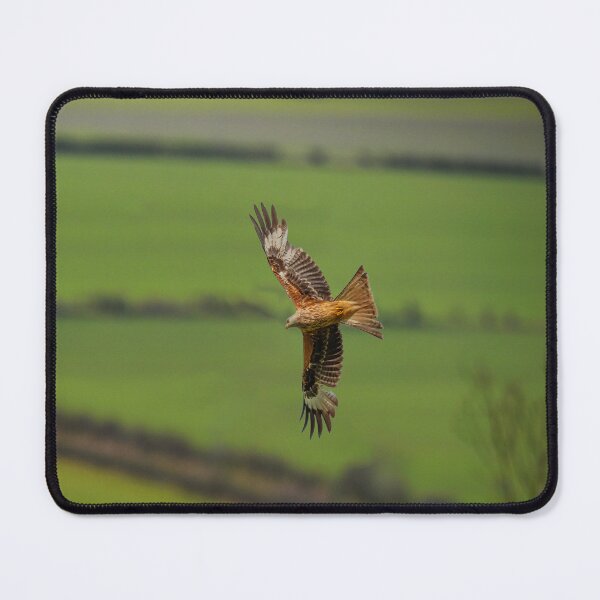 Item preview, Red Kite in flight designed and sold by inspireyoureyes.