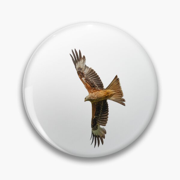 Item preview, Milano real en vuelo designed and sold by inspireyoureyes.