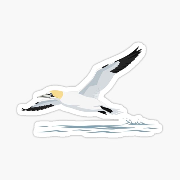 Item preview, The Northern Gannet - Minimalist Seabird Art designed and sold by TheArtEngineer.