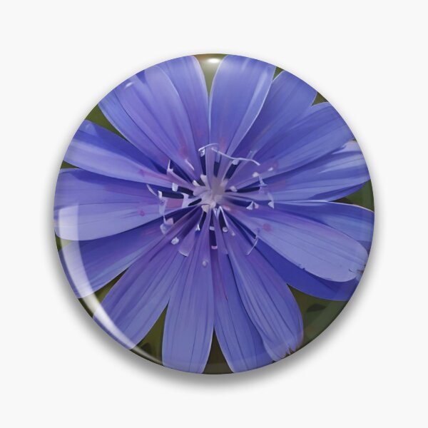 Item preview, Chicory Flower designed and sold by Jasna Dragun.