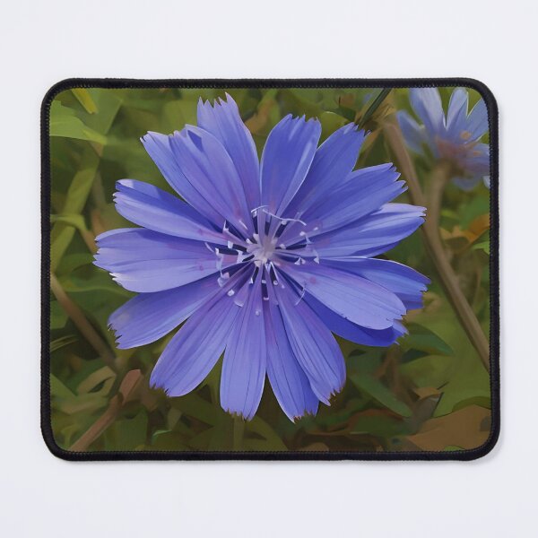 Item preview, Chicory Flower designed and sold by Jasna Dragun.