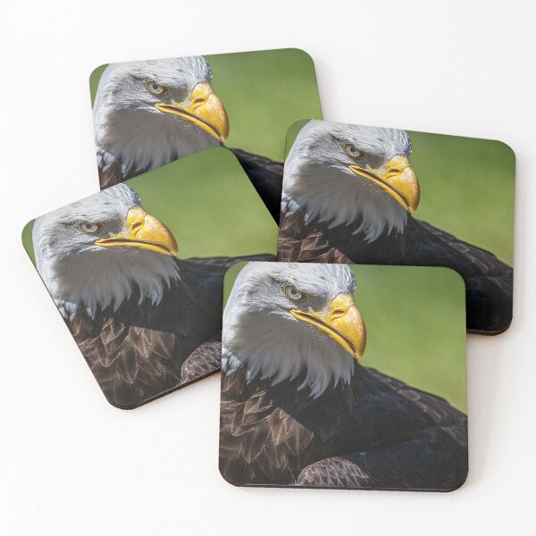 Item preview, White Tailed Eagle designed and sold by Flyal4.