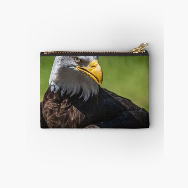 Artikelvorschau, Seeadler entworfen und verkauft von Flyal4.