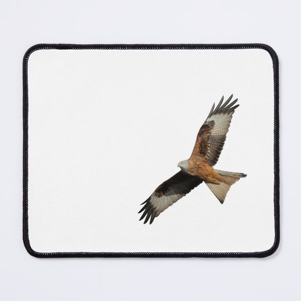 Item preview, Red Kite in flight designed and sold by inspireyoureyes.