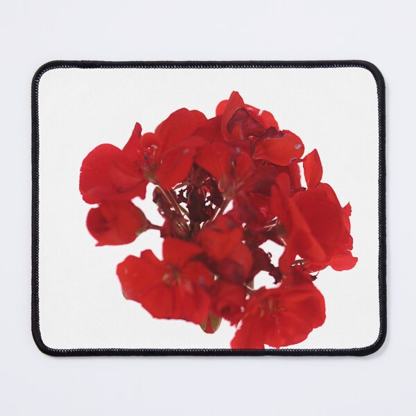 Item preview, Geranium designed and sold by Paul Pasco.