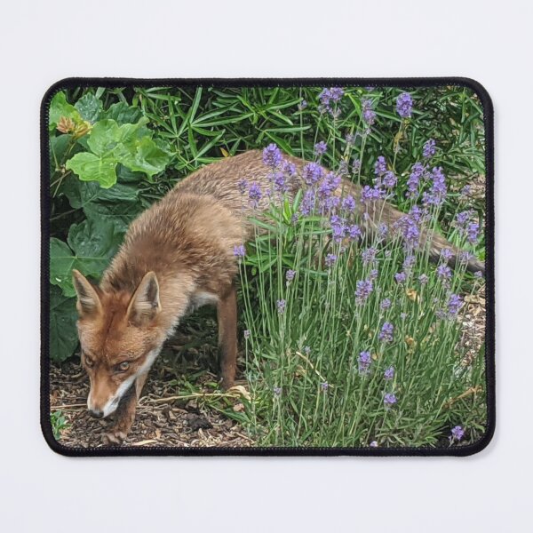 Item preview, London Fox designed and sold by whatsinmyhead.