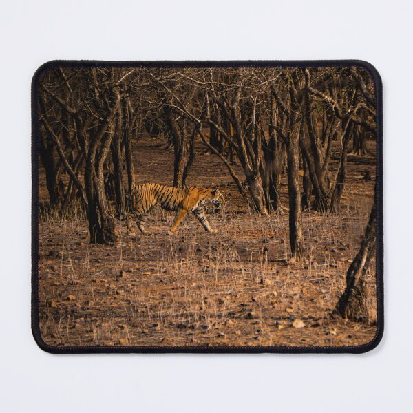 Item preview, Royal Bengal Tiger strolling inside Ranthambore National Park, India designed and sold by Sounak's collection.