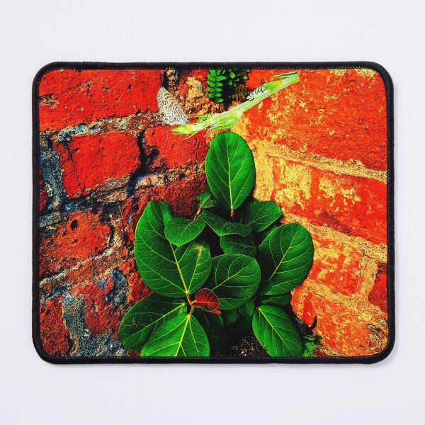 Item preview, African Banyan Tree & Ferns From the Rock RZ 625 designed and sold by Unlimited Imagination .