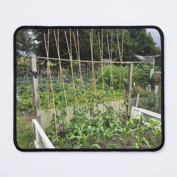 Item preview, Birkenshaw Allotments 2025 designed and sold by paulfoy.