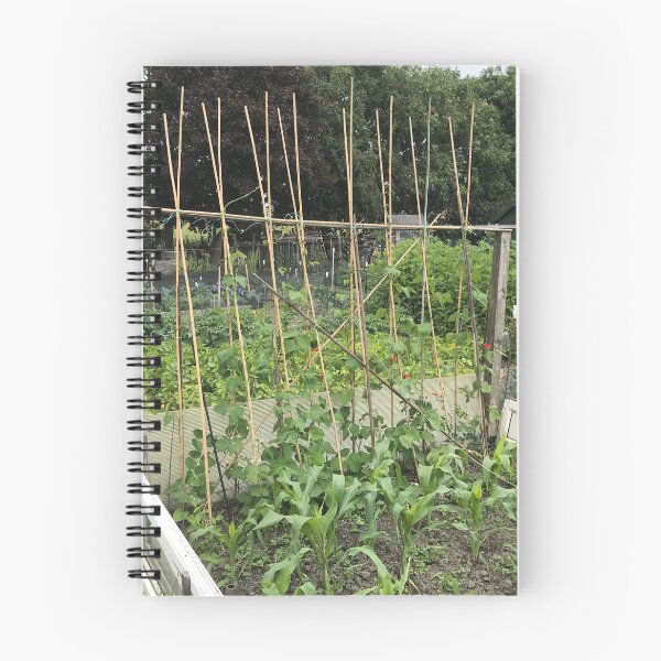 Item preview, Birkenshaw Allotments 2025 designed and sold by paulfoy.