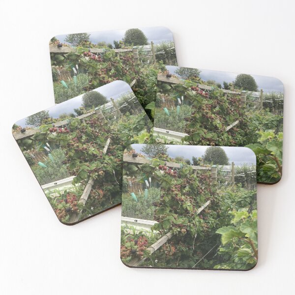 Item preview, Blackberries at Birkenshaw Allotments, 2025 designed and sold by paulfoy.