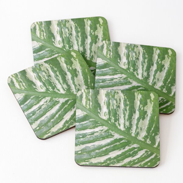 Item preview, Variegated Leaf designed and sold by whatsinmyhead.