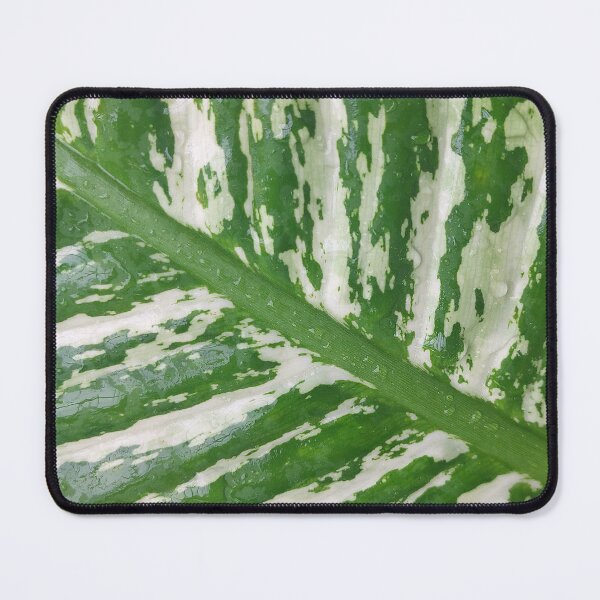 Item preview, Variegated Leaf designed and sold by whatsinmyhead.