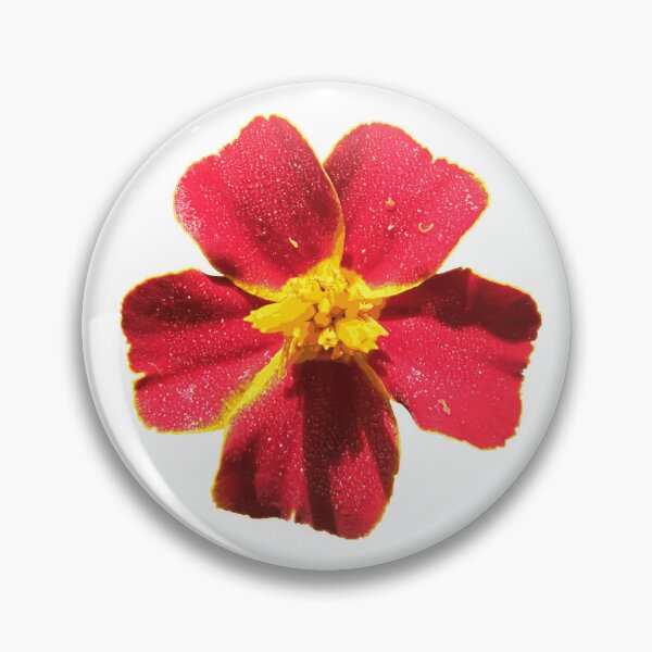 Item preview, Tagetes designed and sold by Martika7.