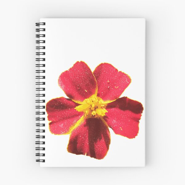 Item preview, Tagetes designed and sold by Martika7.