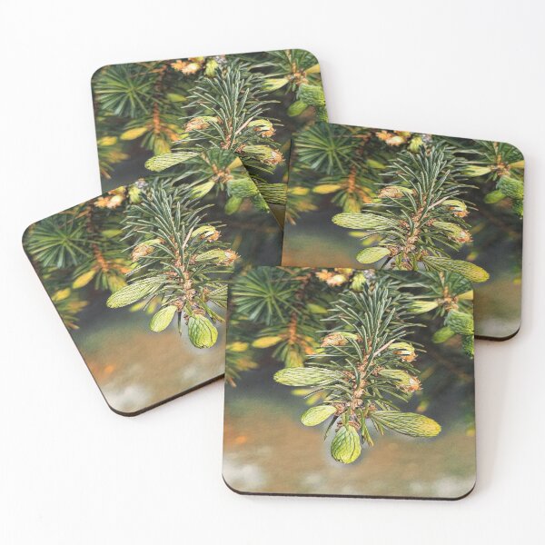 Item preview, Spruce Awakening – Nature’s Tender Touch designed and sold by NatureChampion.