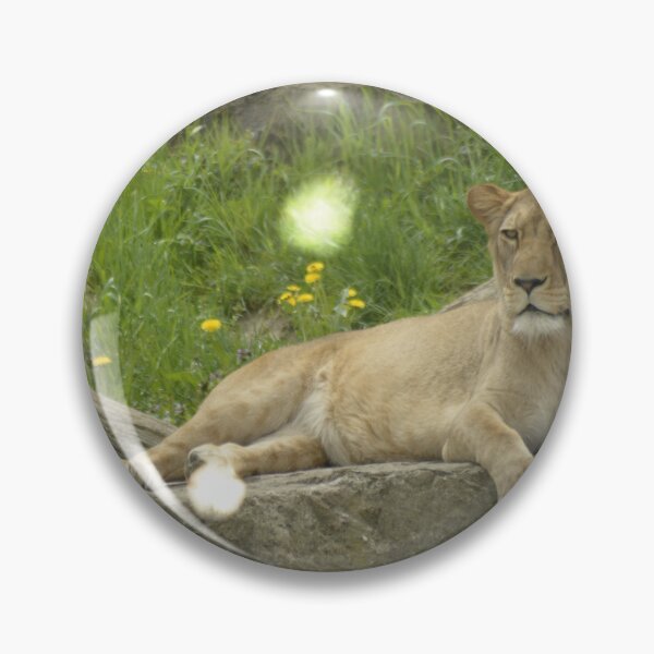 Item preview, Lion in the zoo designed and sold by mhue0305.
