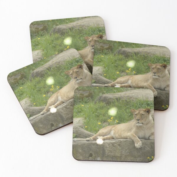 Item preview, Lion in the zoo designed and sold by mhue0305.