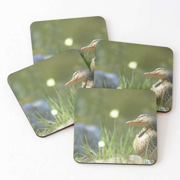 Item preview, duck is sitting in the sun designed and sold by mhue0305.