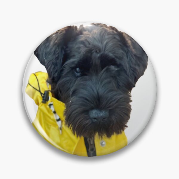 Item preview, Black Miniature Schnauzer in a Yellow Raincoat  designed and sold by ThanhMai8.