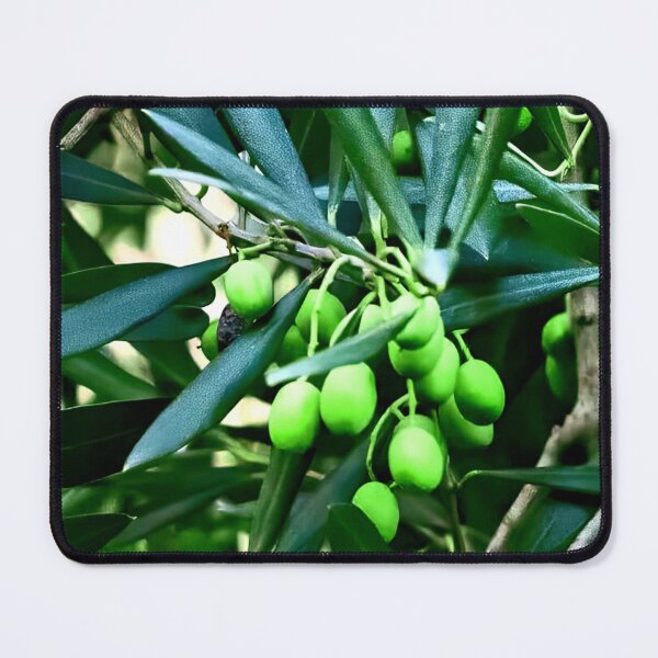 Item preview, Olive Tree designed and sold by ontological.