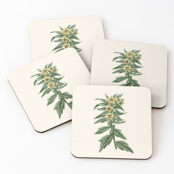Item preview, Henbane - Hyoscyamus Niger, Vintage Botanical Illustration, Solanaceae Poison, Witches Herbs designed and sold by Larkwort.