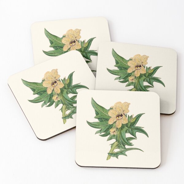 Item preview, Vintage Henbane - Hyoscyamus Niger, Antique Botanical Illustration, Solanaceae Poisonous, Witches Herbs designed and sold by Larkwort.