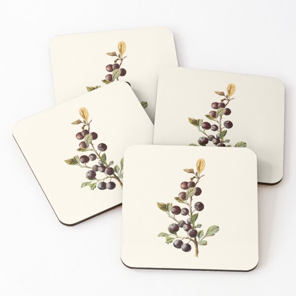 Item preview, Blackthorn - Vintage Sloe Illustration, Antique Botanical, Culinary Foraging, Witches Herbs designed and sold by Larkwort.