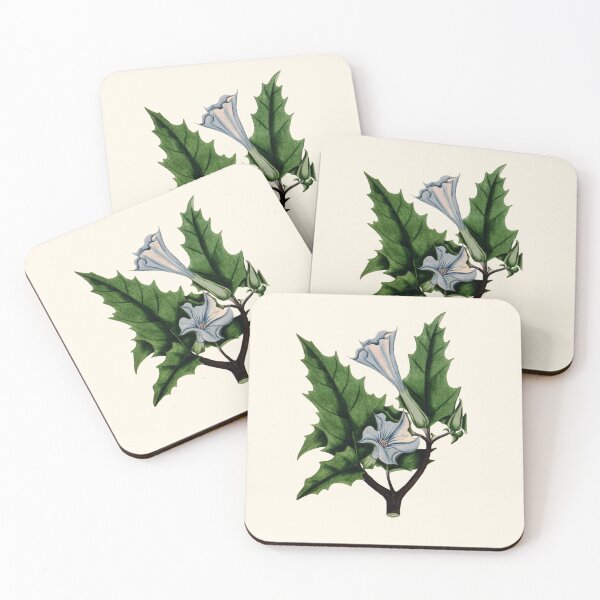 Item preview, Vintage Datura - Thornapple Print, Antique Botanical Illustration, Devils Trumpet, Witches Herbs designed and sold by Larkwort.