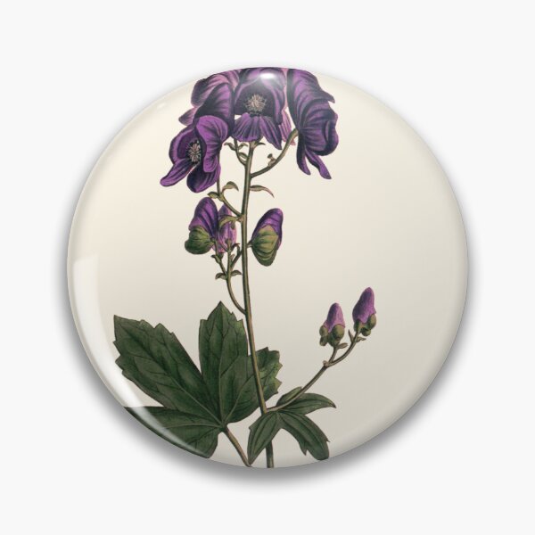 Item preview, Wolfsbane - Aconitum napellus, Vintage Botanical Illustration, Monkshood Plant Magic, Witches Herbs designed and sold by Larkwort.