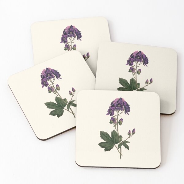 Item preview, Wolfsbane - Aconitum napellus, Vintage Botanical Illustration, Monkshood Plant Magic, Witches Herbs designed and sold by Larkwort.