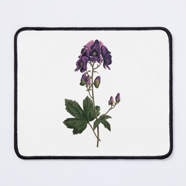Item preview, Wolfsbane - Aconitum napellus, Vintage Botanical Illustration, Monkshood Plant Magic, Witches Herbs designed and sold by Larkwort.