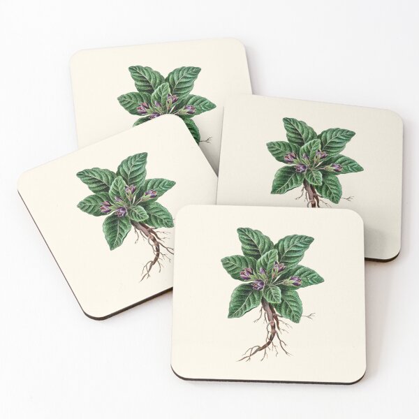 Item preview, Mandrake, Mandragora - Vintage Botanical Illustration, Monkshood Plant Magic, Witches Herbs designed and sold by Larkwort.