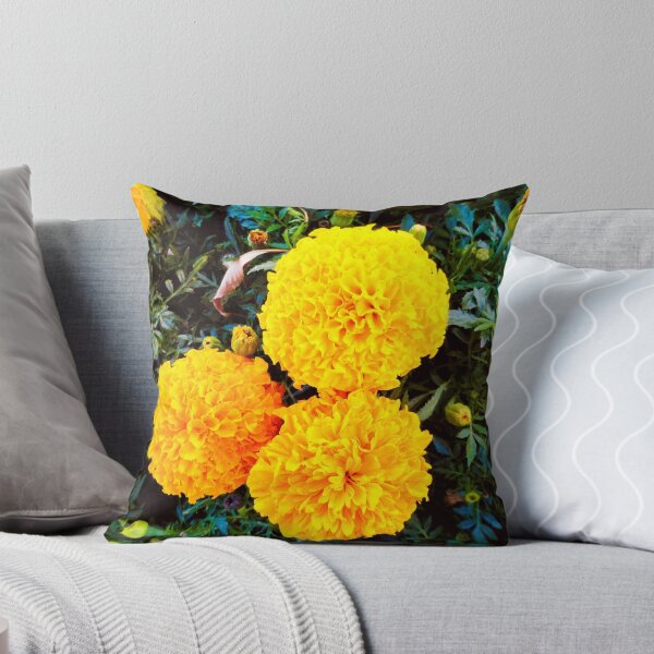 Item preview, Marigold Study  designed and sold by Robert Meyers-Lussier.