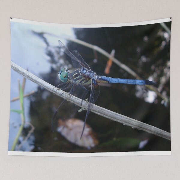 Item preview, In the shade with a blue dragonfly designed and sold by May Lattanzio.