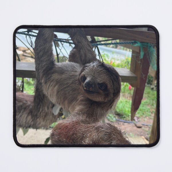 Item preview, Honduras sloth designed and sold by digitalwisco.