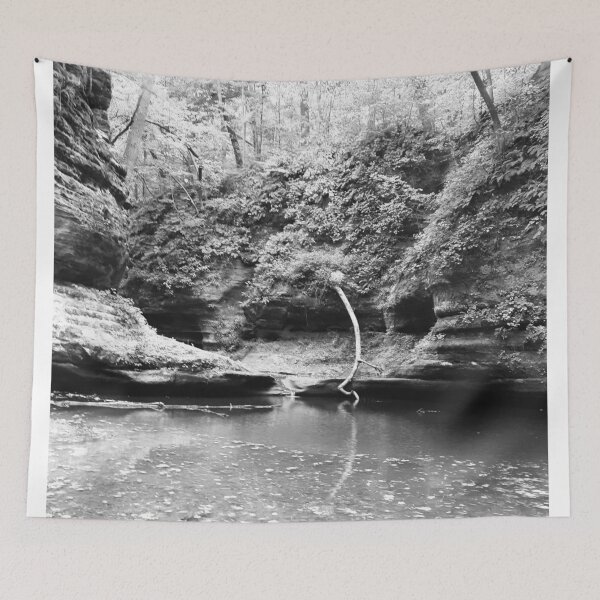 Item preview, Illinois Canyon  designed and sold by Bee’s ART!.